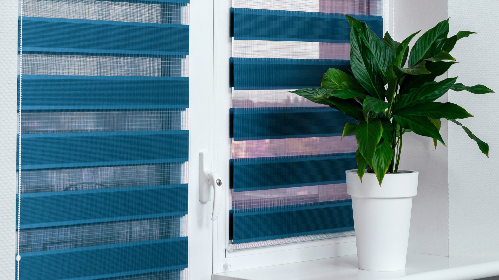 blue day and night blinds